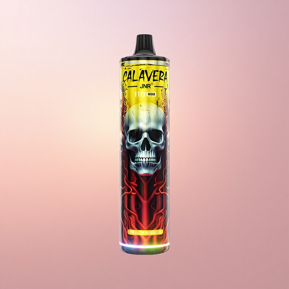 JNR Calavera 11000 Virsik-Mango Tüüp-C 850mAh 21ml