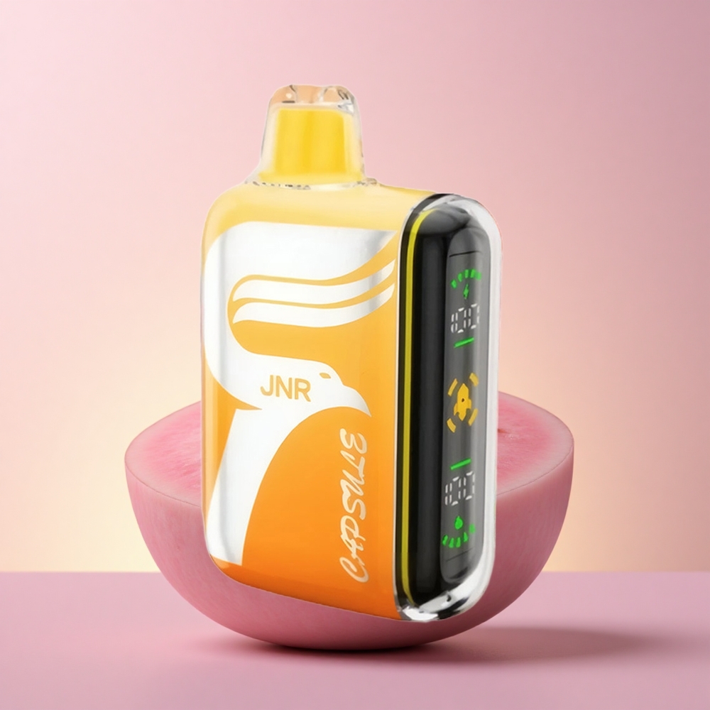 JNR Capsule 15000 Arbuusi Irchee 20ml Dual Mesh