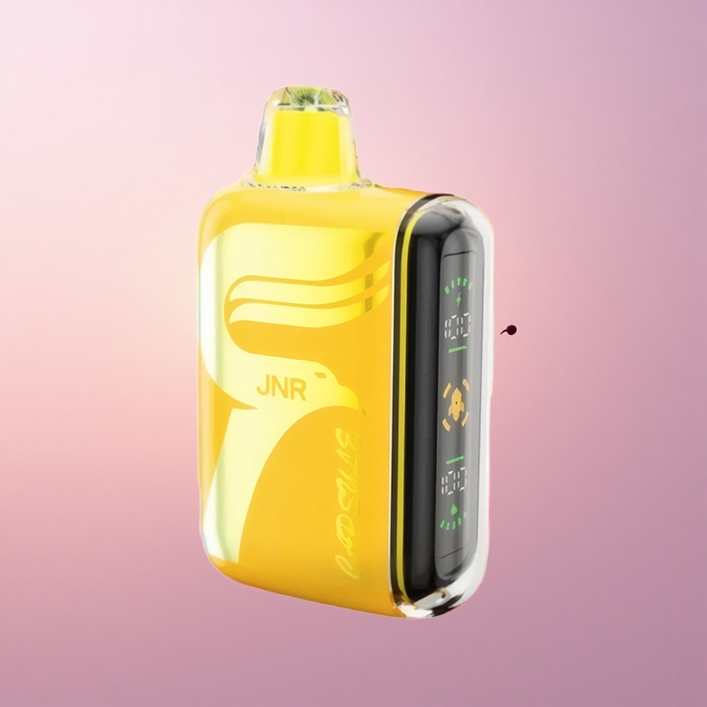 JNR Capsule 15000 Taopiline Löök 850mAh Kiirlaadimine 20W Topeltvõrk
