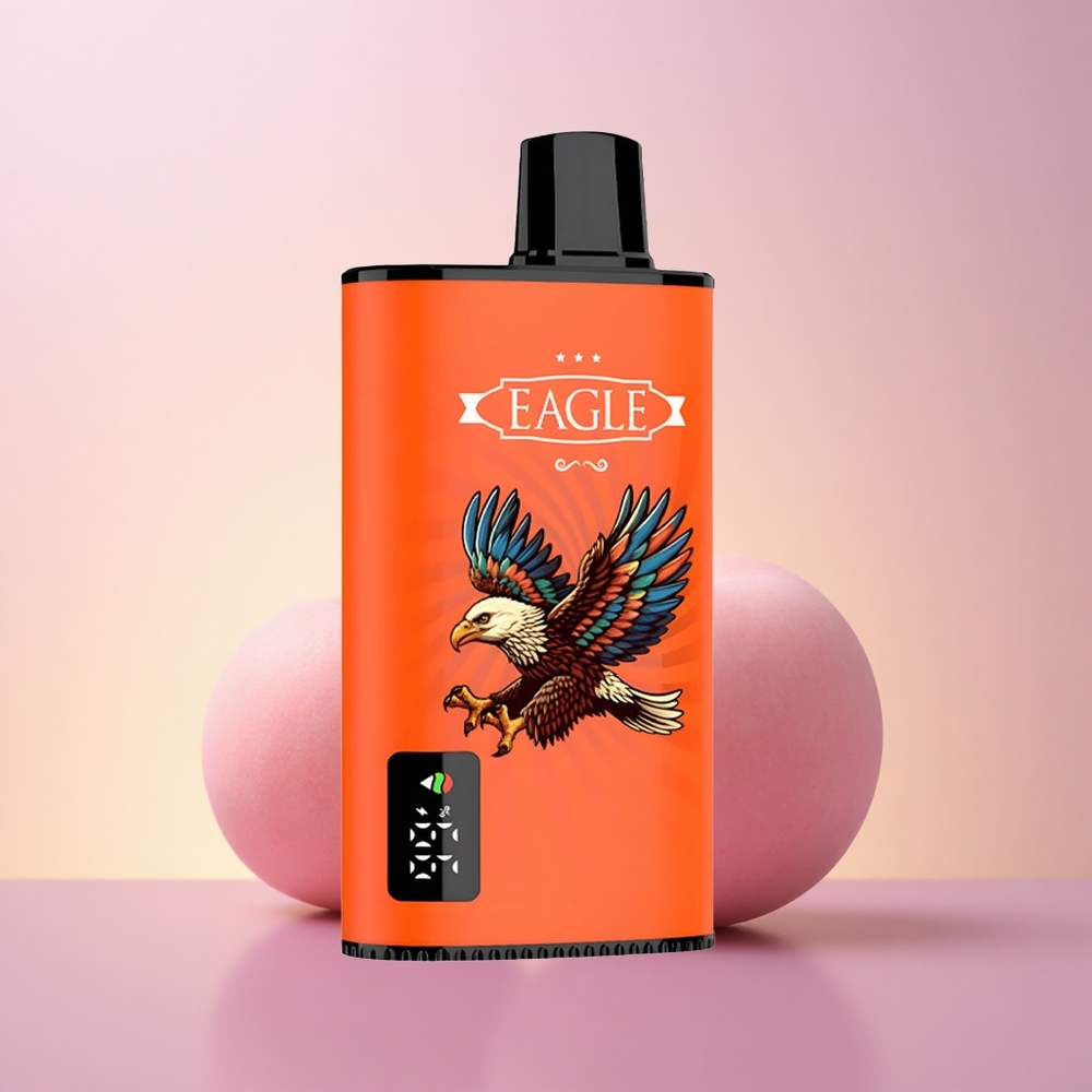 JNR EAGLE Smart 23000 Mahlased Virsikud Digitaalne Ekraan 750mAh Laadimine 25ml Vedelik