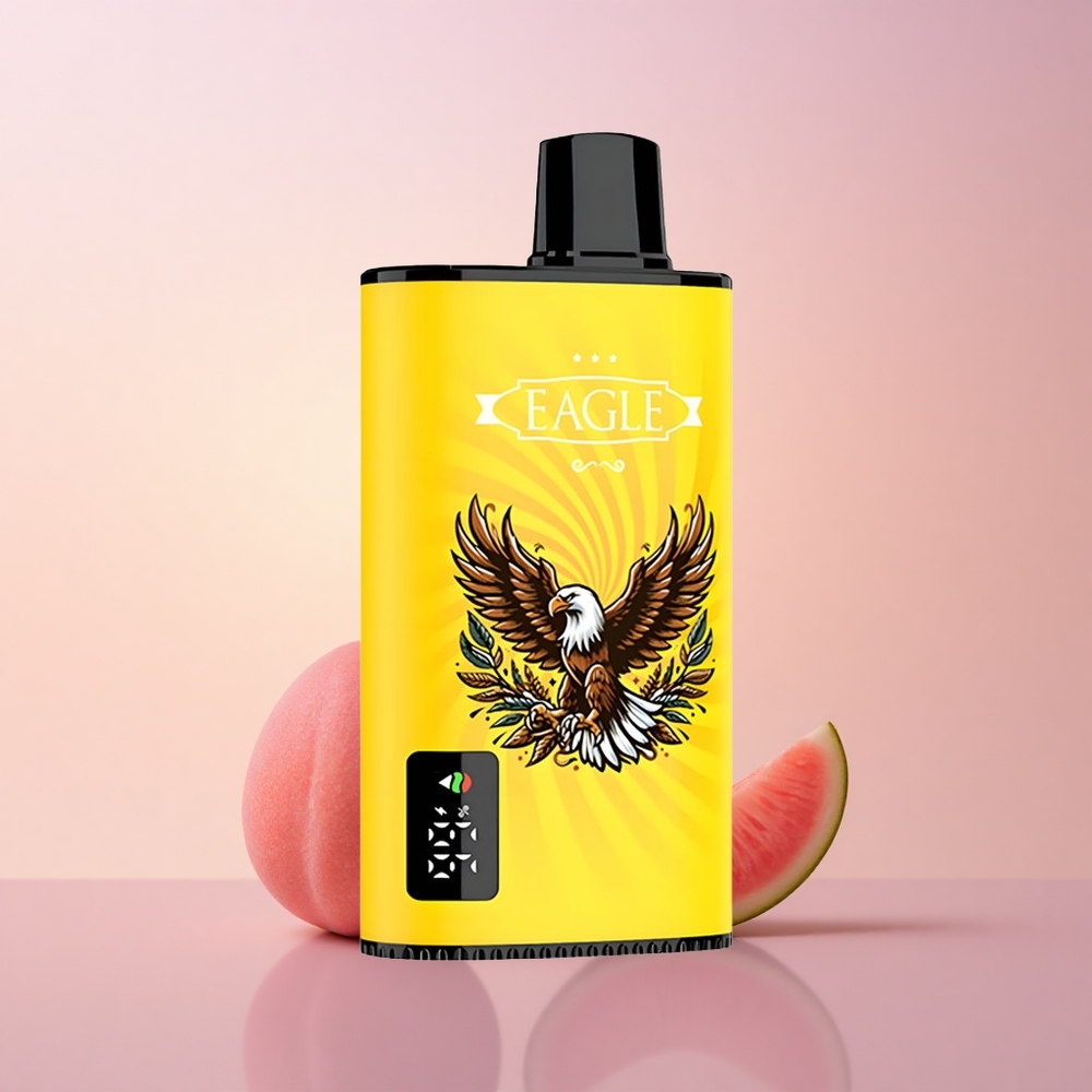 JNR EAGLE Smart 23000 Virsi-Mango-Arbuusi Digitaalne Ekraan 10ohm Võrkpoolus 750mAh