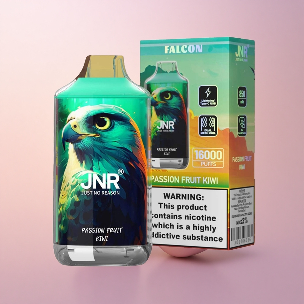 JNR Falcon 16000 Marakuivi 850mAh Kahekordse Võrkkootega Tüüp-C Laadimine