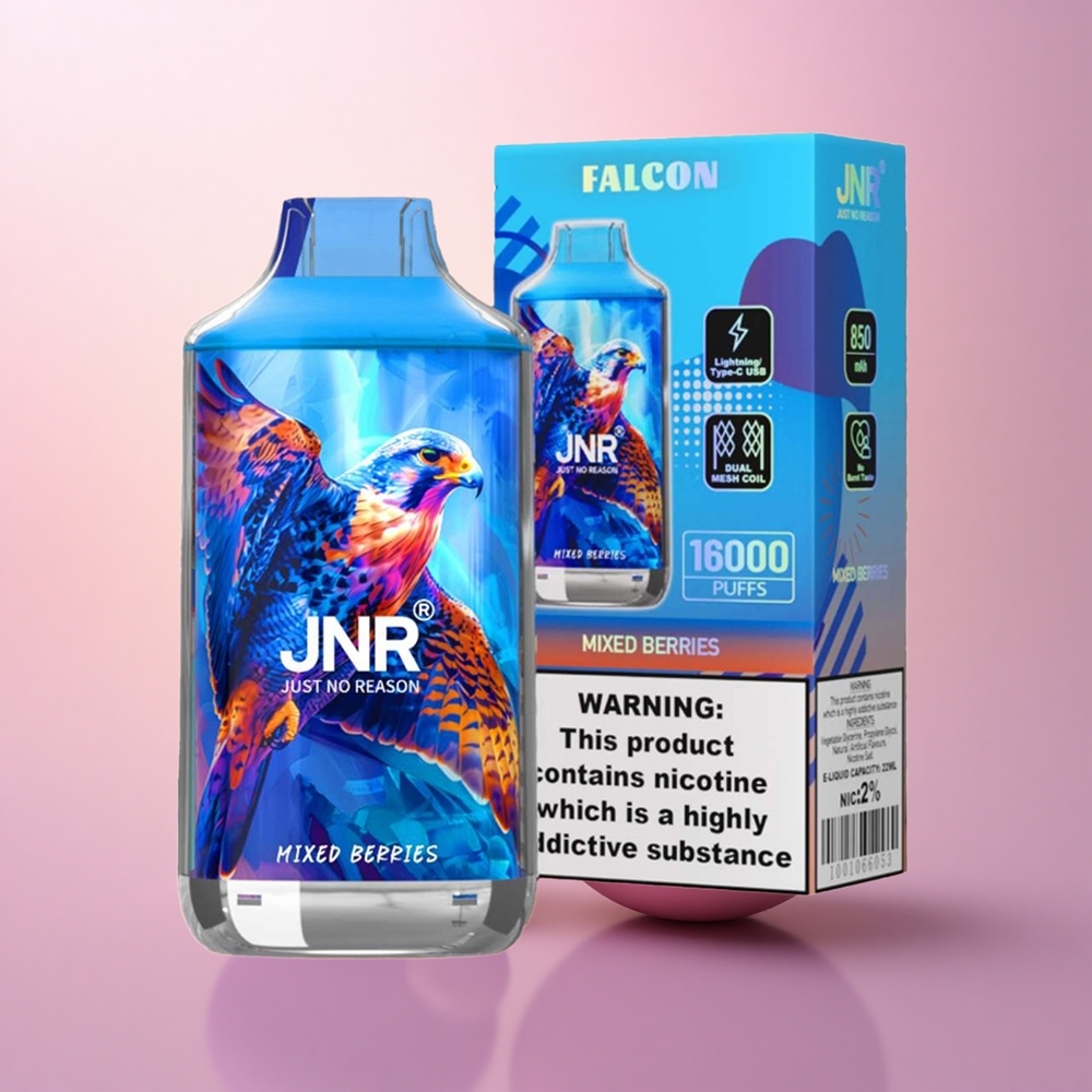 JNR Falcon 16000 Segamari 850 mAh Tüüp-C Kahekordne Võrk