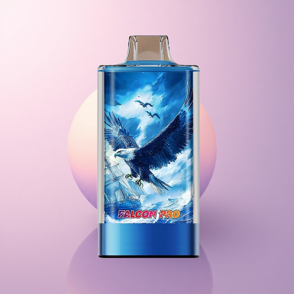 JNR Falcon Pro 28000 Mustikas-Jää 30ml 950mAh 5