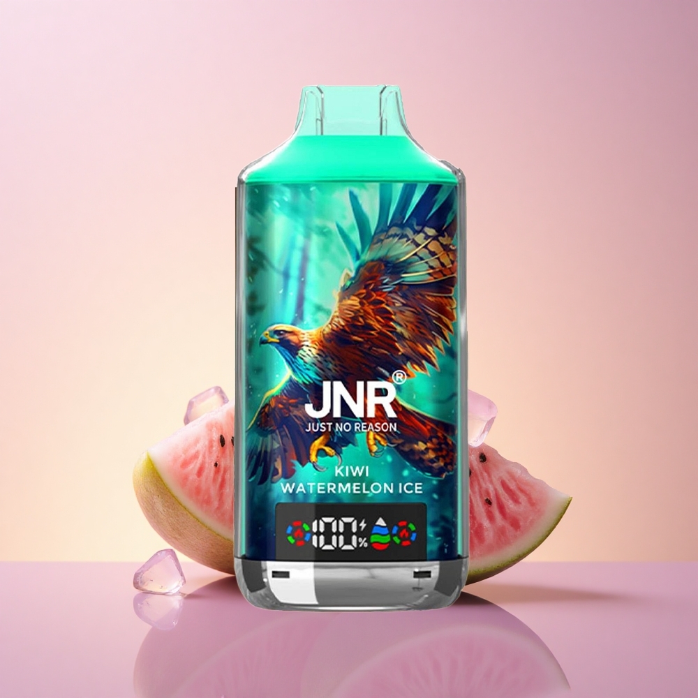 JNR Falcon X 18000 Kiivi-Arbuusi-Jää Dual Mesh  Dual Core 24ml Digital Display Type-C