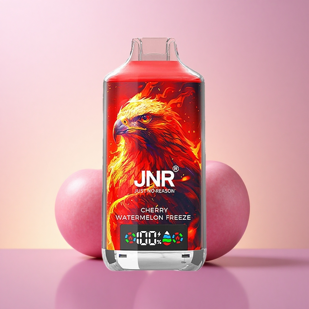 JNR Falcon X 18000 Kirsi-Arbuusi Jäätis 24ml Dual Mesh Digital Type-C