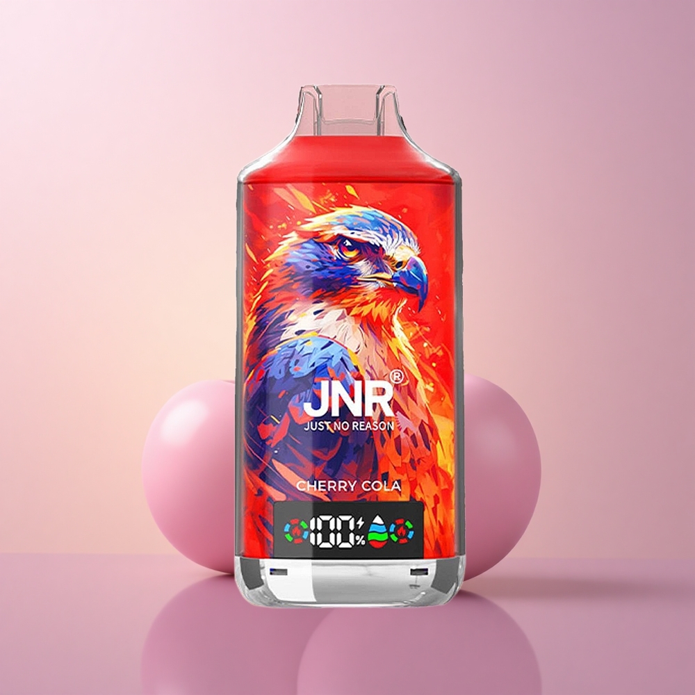 JNR Falcon X 18000 Kirsi Põhjus Dual Mesh 750mAh Type-C
