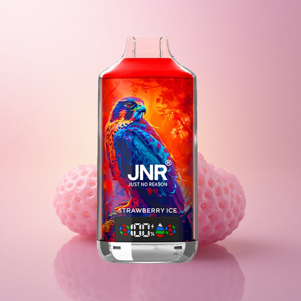 JNR Falcon X 18000 Maasikajää 24ml Dual Mesh Digitaalne Type-C