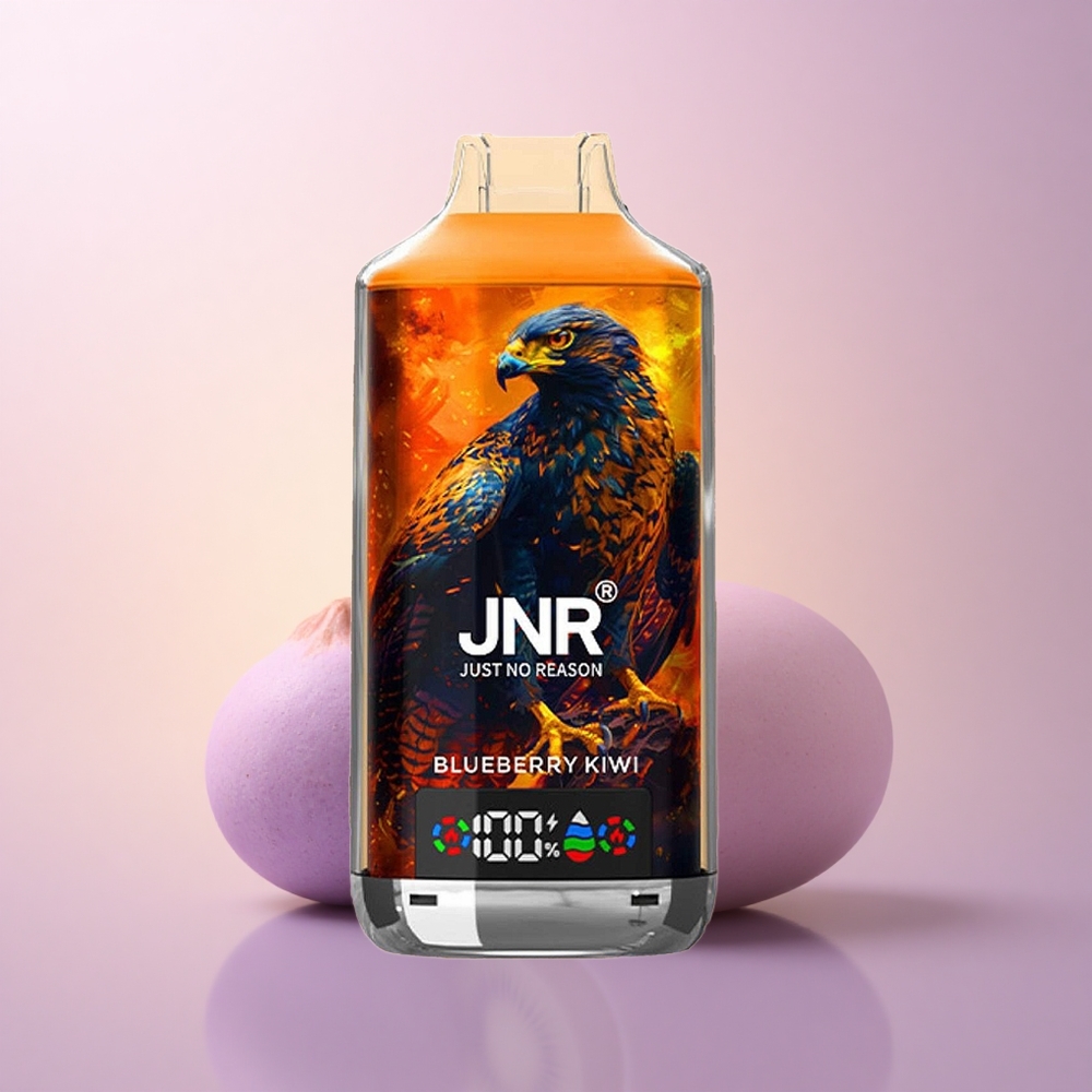 JNR Falcon X 18000 Mustikas Kiivi Dual Mesh Coil Type-C