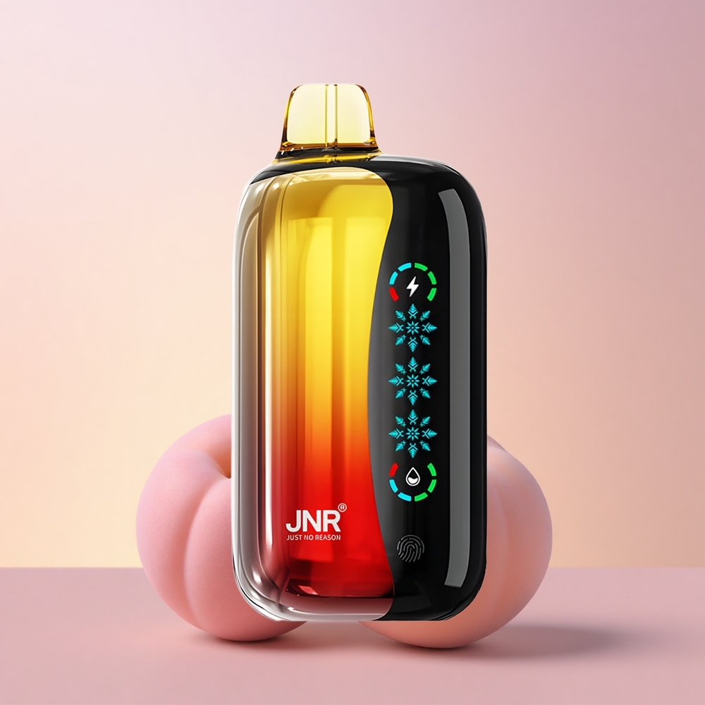 JNR Flex Ice 21000 Virsi Mango Ananass Jäätuv Seade 26ml Tuule Reguleeritav 12 Ohm Dual Mesh