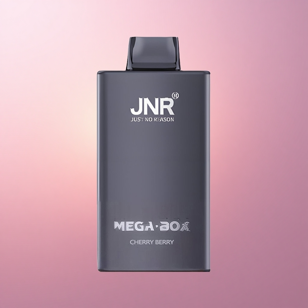 JNR Mega Box 25000 Kirsi-Marja 850mAh Tüüp-C Laadimine