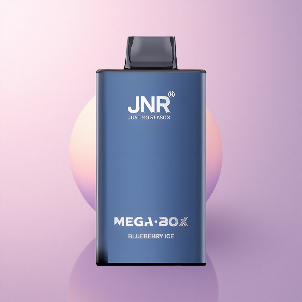 JNR Mega Box 25000 Mustikas-Jää 850mAh Kahetikandmik