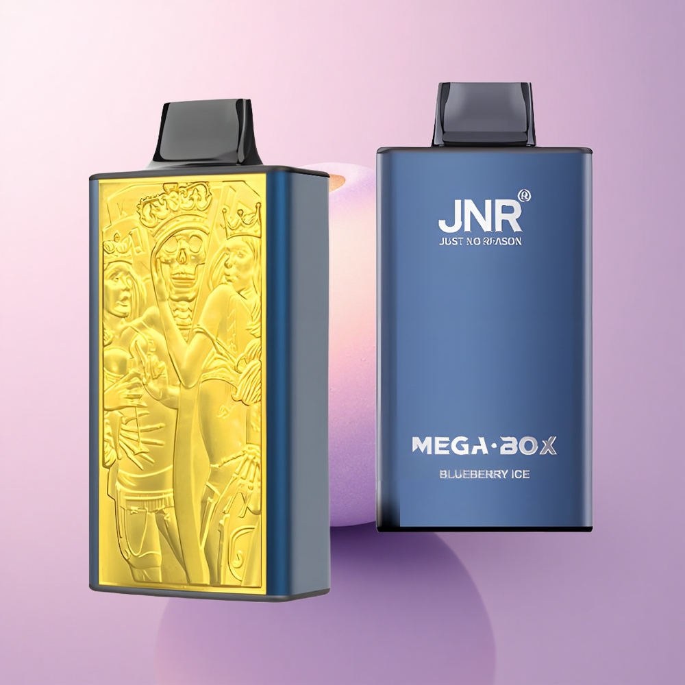 JNR Mega Box 25000 Mustikas-Jää 850mAh Kahetikandmik