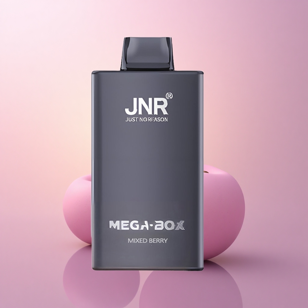 JNR Mega Box 25000 Segamari 30ml Tüüp-C Kiirlaadimine