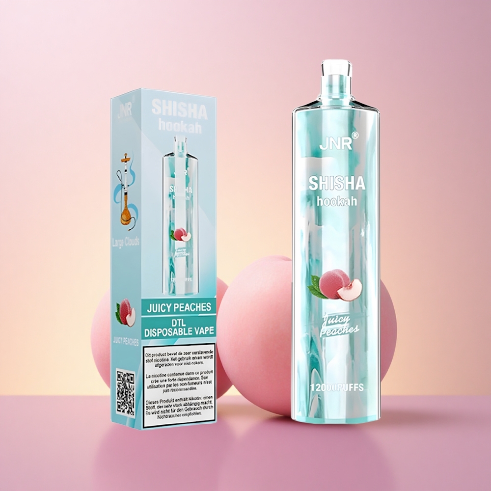 JNR Shisha Hookah 12000 Mahlased Virsikud 750mAh Type-C