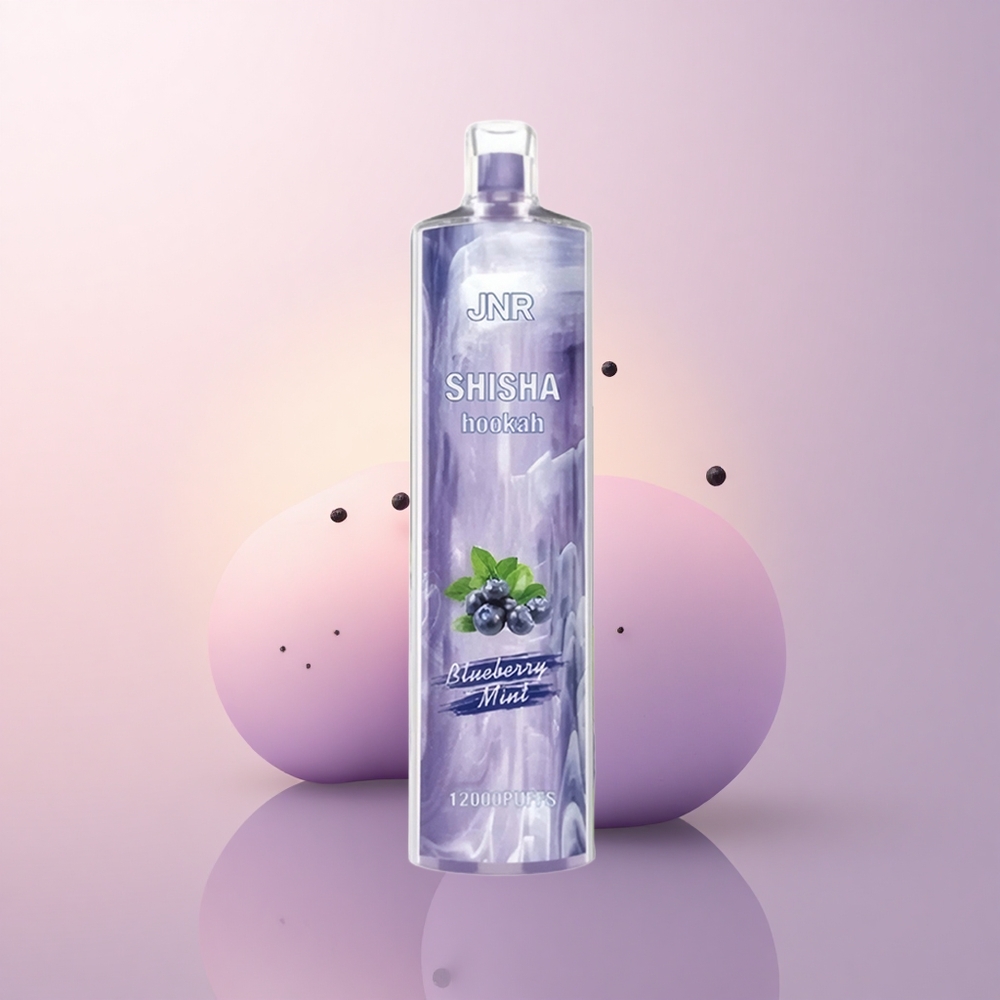 JNR Shisha Hookah 12000 Mustikas-Münt 24ml 750mAh Type-C
